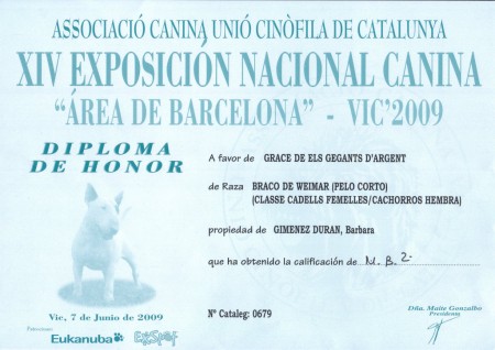 Diploma conseguido por Grace: calificación MB 2ª