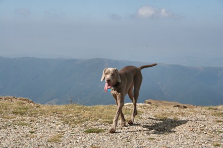 De paseo por el Turó de l'Home