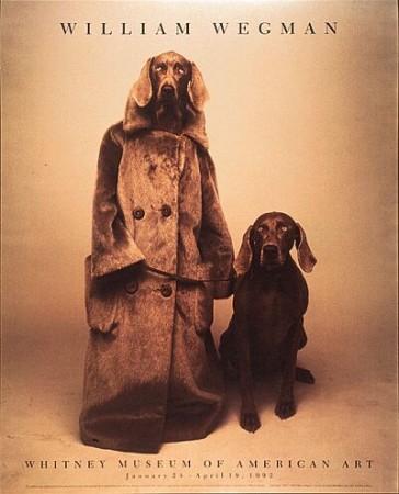 William Wegman