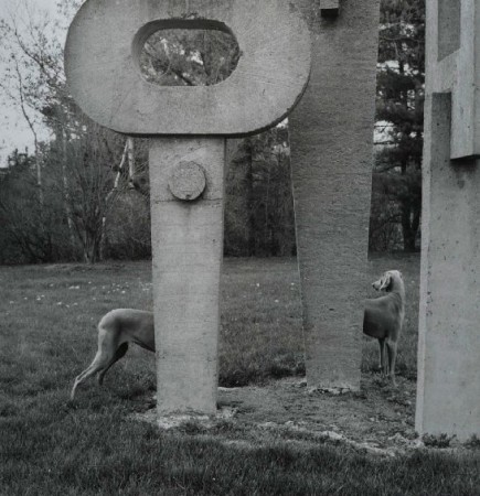 1993 Silver Gelatin - William Wegman