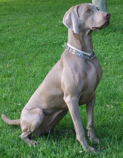 Grace, con 17 meses