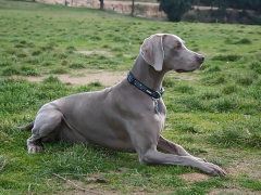 Grace, con 2 años