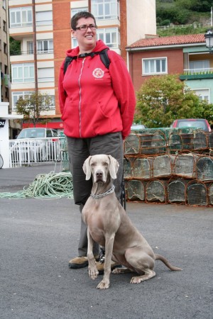 Weimaraner Grace