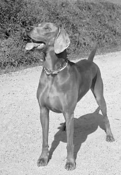 Grace, con 2 años