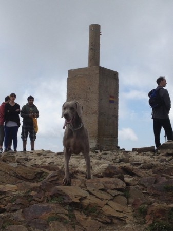 Grace en el Turó de l'Home (el Montseny)